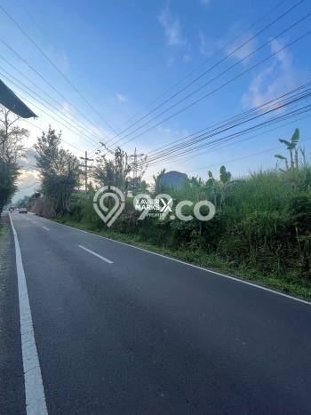 Tanah Dijual di Malang Seluas 3790m2 Strategis Tanah Dijual di Malang Seluas 3790m2 Strategis