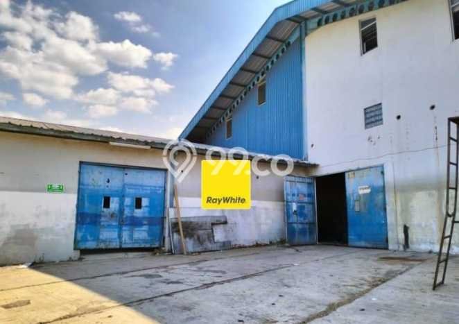 Disewakan Gudang Bisnis di Semarang Barat Semarang Harga Sewa Menarik Bisa Nego Disewakan Gudang Bisnis di Semarang Barat Semarang Harga Sewa Menarik Bisa Nego