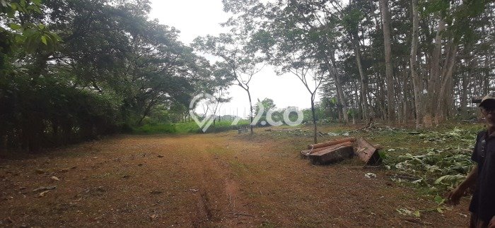 FOR SALE! Pabrik di Mijen Semarang, LT 76000m2, LB 3500m2 FOR SALE! Pabrik di Mijen Semarang, LT 76000m2, LB 3500m2