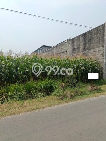 Kavling Tanah di Dlanggu Dijual Luas 2380m2 Legalitas - Kavling Tanah di Dlanggu Dijual Luas 2380m2 Legalitas -