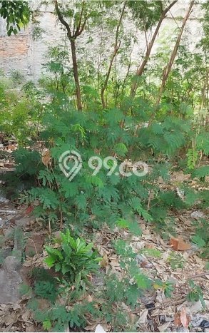 Kavling Tanah Dijual di Senen, Jakarta Pusat, Luas 280m2 Area Strategis Kavling Tanah Dijual di Senen, Jakarta Pusat, Luas 280m2 Area Strategis