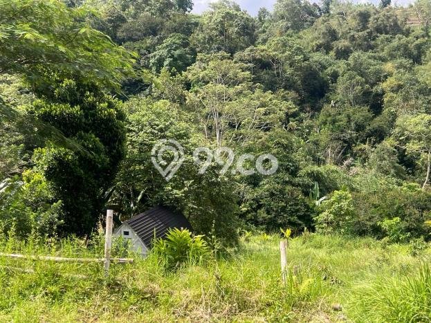 Disewakan Tanah di Tabanan, Luas 3250m2 Area Berkembang Disewakan Tanah di Tabanan, Luas 3250m2 Area Berkembang