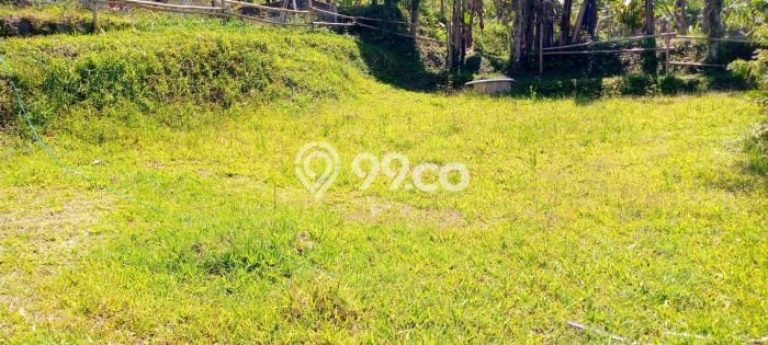 Disewakan Tanah di Tabanan, Luas 3250m2 Area Berkembang Disewakan Tanah di Tabanan, Luas 3250m2 Area Berkembang