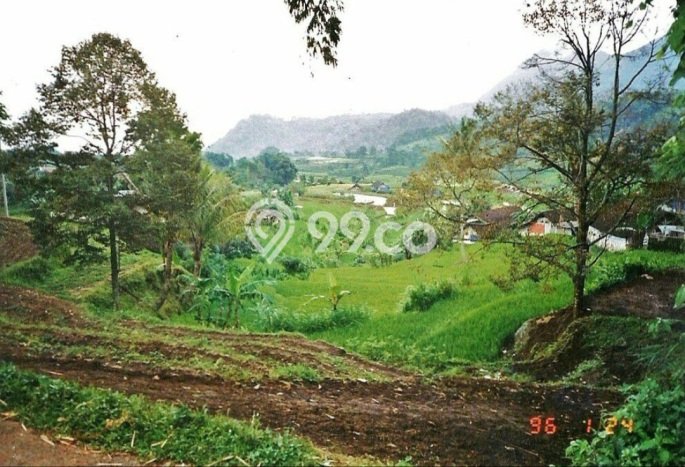 Kavling Tanah Dijual di Trawas, Mojokerto, Luas 3101m2 Area Strategis Kavling Tanah Dijual di Trawas, Mojokerto, Luas 3101m2 Area Strategis