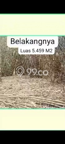 Tanah di Balaraja, Tangerang Luas 5459m2 Dijual Segera Tanah di Balaraja, Tangerang Luas 5459m2 Dijual Segera