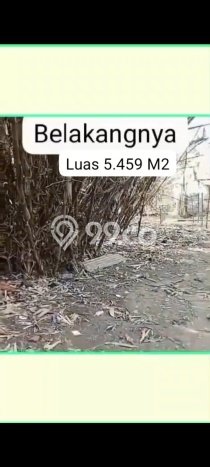 Tanah di Balaraja, Tangerang Luas 5459m2 Dijual Segera Tanah di Balaraja, Tangerang Luas 5459m2 Dijual Segera