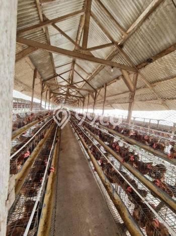 Komersial Paling Dicari LB 500m2 Dijual di Tutur Komersial Paling Dicari LB 500m2 Dijual di Tutur