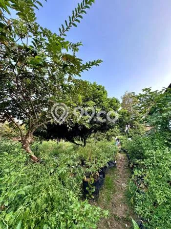 Tanah Disewa Strategis di Malang Luas 1907m2 Tanah Disewa Strategis di Malang Luas 1907m2