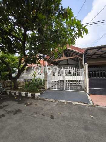Hunian Nyaman Asri 3 KT Siap Pakai di Darmo Permai Surabaya Hunian Nyaman Asri 3 KT Siap Pakai di Darmo Permai Surabaya