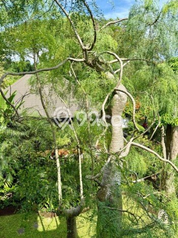 Rumah Elit LB 1000m2 Siap Huni Desain Elegan di Malang Kota, Malang Rumah Elit LB 1000m2 Siap Huni Desain Elegan di Malang Kota, Malang