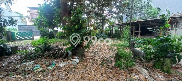 Jual Rumah Luas Elegan Dengan View Cantik di Ragunan, Jakarta Selatan Jual Rumah Luas Elegan Dengan View Cantik di Ragunan, Jakarta Selatan