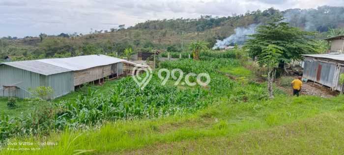 Tanah Dijual Lokasi Prigen, Pasuruan Luas 1293m2 Legalitas Aman Tanah Dijual Lokasi Prigen, Pasuruan Luas 1293m2 Legalitas Aman