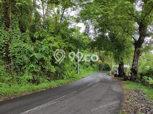 Tanah Dijual Lokasi Strategis di Buleleng dengan Luas 12110m2 Tanah Dijual Lokasi Strategis di Buleleng dengan Luas 12110m2