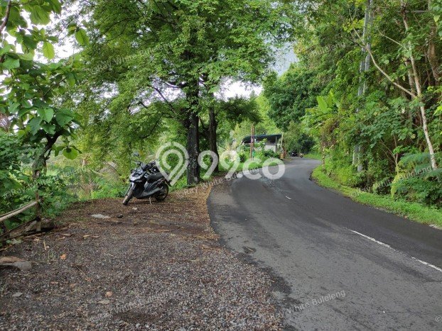 Tanah Dijual Lokasi Strategis di Buleleng dengan Luas 12110m2 Tanah Dijual Lokasi Strategis di Buleleng dengan Luas 12110m2