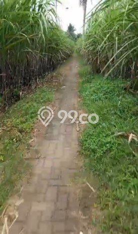 Lahan Kosong Dijual di Malang dengan Area 4000m2 Lahan Kosong Dijual di Malang dengan Area 4000m2