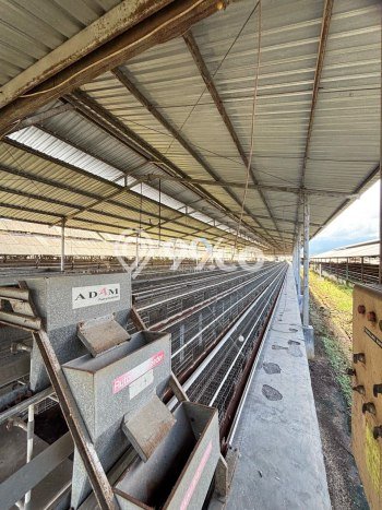 Gudang Dijual di Lawang LT 58119m2, LB 2265m2 untuk Investasi Gudang Dijual di Lawang LT 58119m2, LB 2265m2 untuk Investasi