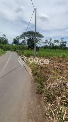 Jarang Ada! Tanah di Blimbing Punya Luas 2125m2 - Jarang Ada! Tanah di Blimbing Punya Luas 2125m2 -