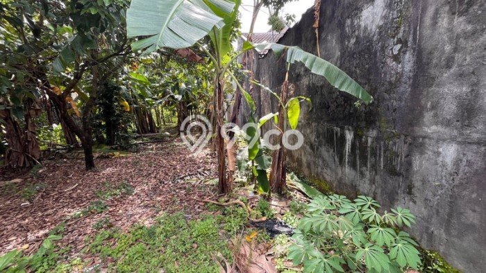 Tanah untuk Dijual di Sleman Sleman Luas 485m2 Tanah untuk Dijual di Sleman Sleman Luas 485m2