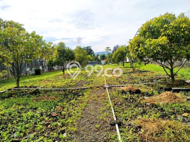 Gudang Dijual di Purworejo LT 4922m2 & LB 1000m2 Lokasi Terbaik! Gudang Dijual di Purworejo LT 4922m2 & LB 1000m2 Lokasi Terbaik!