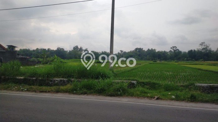 Kavling Tanah Disewakan di Sleman Sleman Luas 10000m2 Strategis Kavling Tanah Disewakan di Sleman Sleman Luas 10000m2 Strategis