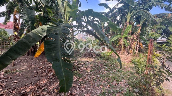 Tanah Dijual Lokasi Strategis di Yogyakarta dengan Luas 526m2 Tanah Dijual Lokasi Strategis di Yogyakarta dengan Luas 526m2