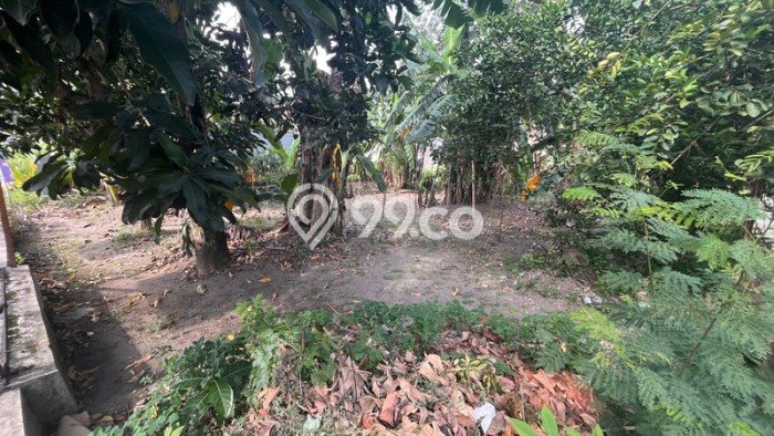Tanah Dijual Lokasi Strategis di Yogyakarta dengan Luas 526m2 Tanah Dijual Lokasi Strategis di Yogyakarta dengan Luas 526m2