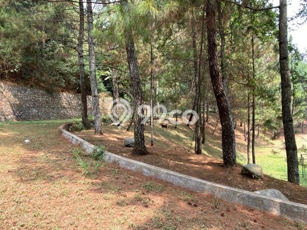 AREA PROSPEKTIF! Tanah di Setiabudi, Luas 9597m2m², Akses Fasilitas Umum AREA PROSPEKTIF! Tanah di Setiabudi, Luas 9597m2m², Akses Fasilitas Umum