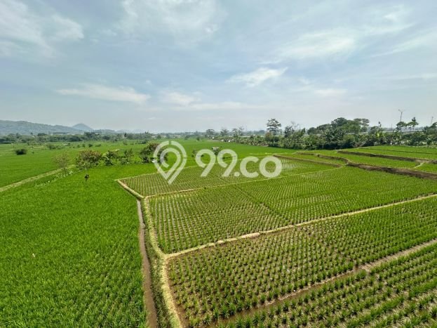 Unit Gudang Dijual di Soreang Bandung Luas Bangunan 700m2 Unit Gudang Dijual di Soreang Bandung Luas Bangunan 700m2