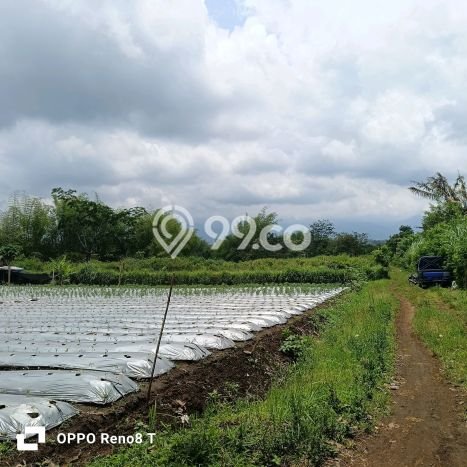 PENAWARAN MENARIK! Tanah di Merjosari, Luas 2000m2m², Lokasi Strategis PENAWARAN MENARIK! Tanah di Merjosari, Luas 2000m2m², Lokasi Strategis