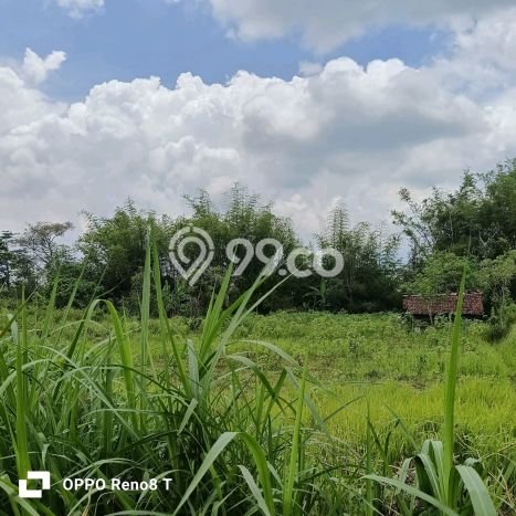 Dijual Tanah Lokasi Merjosari, Malang Seluas 11000m2 Dijual Tanah Lokasi Merjosari, Malang Seluas 11000m2