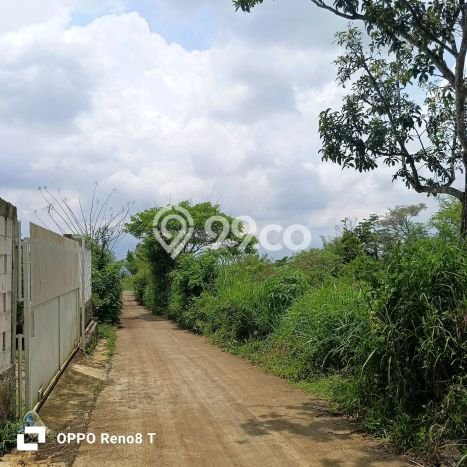 Dijual Tanah Lokasi Merjosari, Malang Seluas 11000m2 Dijual Tanah Lokasi Merjosari, Malang Seluas 11000m2