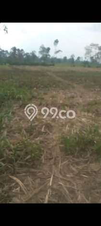 Dijual Tanah Kawasan Poncokusumo, Luas 20000m2m², Akses Strategis Dijual Tanah Kawasan Poncokusumo, Luas 20000m2m², Akses Strategis