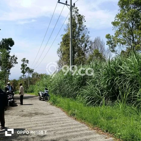 AREA PROSPEKTIF! Tanah Kawasan Ngajum, Luas 20000m2m², Dekat Transportasi AREA PROSPEKTIF! Tanah Kawasan Ngajum, Luas 20000m2m², Dekat Transportasi
