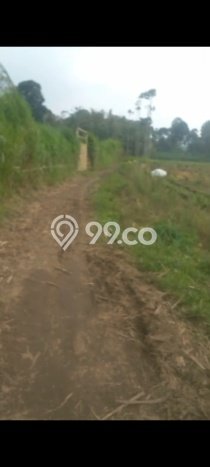 Dijual Tanah Kawasan Poncokusumo, Luas 20000m2m², Akses Strategis Dijual Tanah Kawasan Poncokusumo, Luas 20000m2m², Akses Strategis