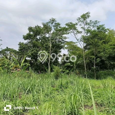 Tanah Lokasi Strategis di Pakis, Luas 3886m2m², Ideal untuk Bisnis Tanah Lokasi Strategis di Pakis, Luas 3886m2m², Ideal untuk Bisnis
