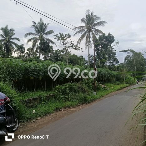 Kavling Tanah di Jabung Dijual Luas 2990m2 Legalitas SHM Kavling Tanah di Jabung Dijual Luas 2990m2 Legalitas SHM