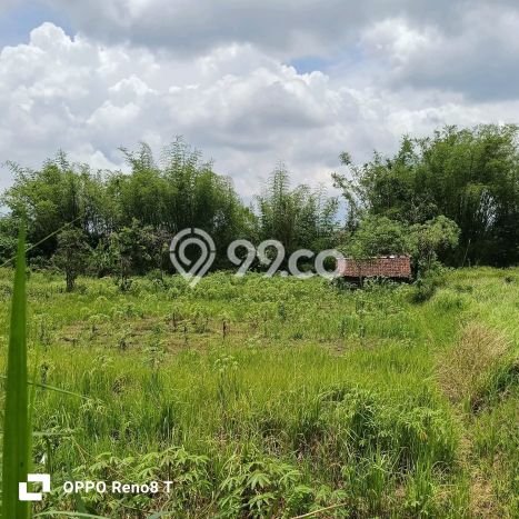 Dijual Tanah Lokasi Merjosari, Malang Seluas 11000m2 Dijual Tanah Lokasi Merjosari, Malang Seluas 11000m2