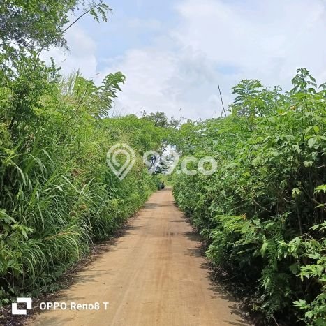 Dijual Tanah Lokasi Merjosari, Malang Seluas 11000m2 Dijual Tanah Lokasi Merjosari, Malang Seluas 11000m2
