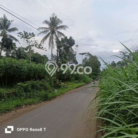 Kavling Tanah di Jabung Dijual Luas 2990m2 Legalitas SHM Kavling Tanah di Jabung Dijual Luas 2990m2 Legalitas SHM