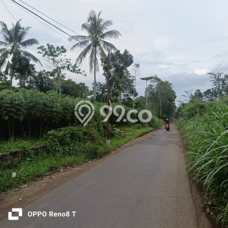 Kavling Tanah di Jabung Dijual Luas 2990m2 Legalitas SHM Kavling Tanah di Jabung Dijual Luas 2990m2 Legalitas SHM