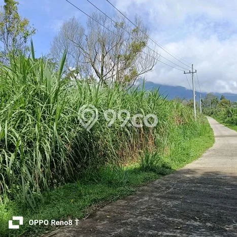 AREA PROSPEKTIF! Tanah Kawasan Ngajum, Luas 20000m2m², Dekat Transportasi AREA PROSPEKTIF! Tanah Kawasan Ngajum, Luas 20000m2m², Dekat Transportasi