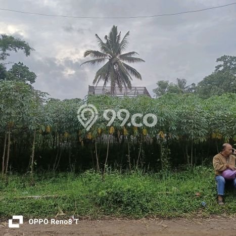 Kavling Tanah di Jabung Dijual Luas 2990m2 Legalitas SHM Kavling Tanah di Jabung Dijual Luas 2990m2 Legalitas SHM