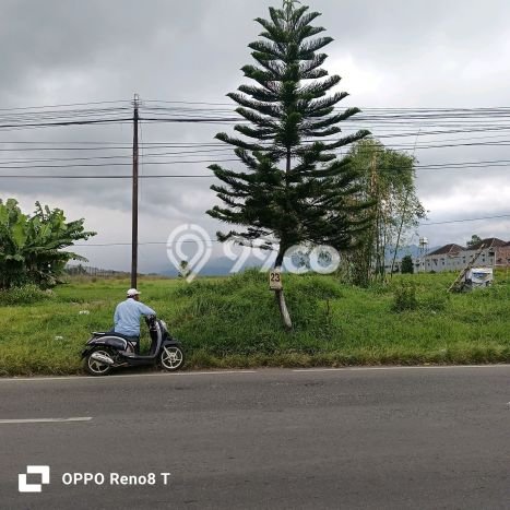 Kavling Tanah Dijual di Pakis, Malang, Luas 5456m2 Area Strategis Kavling Tanah Dijual di Pakis, Malang, Luas 5456m2 Area Strategis