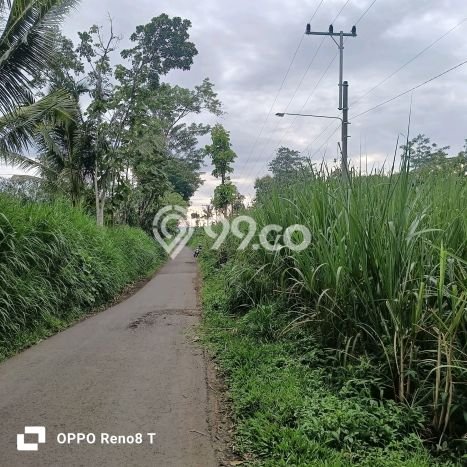 Kavling Tanah di Jabung Dijual Luas 2990m2 Legalitas SHM Kavling Tanah di Jabung Dijual Luas 2990m2 Legalitas SHM