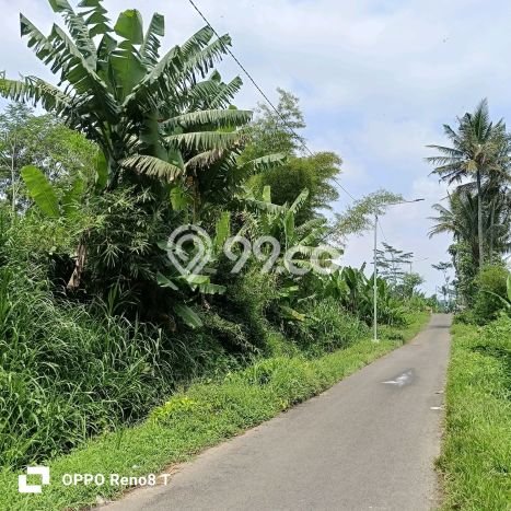 Tanah Lokasi Strategis di Pakis, Luas 3886m2m², Ideal untuk Bisnis Tanah Lokasi Strategis di Pakis, Luas 3886m2m², Ideal untuk Bisnis