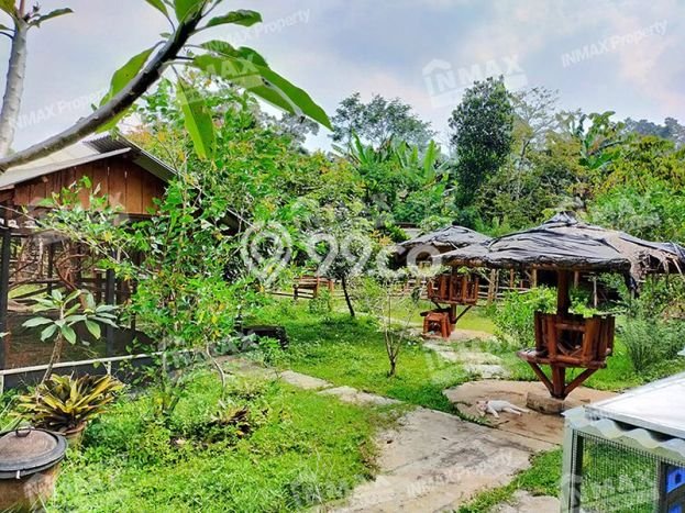 HARGA MENARIK! Tanah di Dau, Luas 3268m², Kawasan Potensial HARGA MENARIK! Tanah di Dau, Luas 3268m², Kawasan Potensial