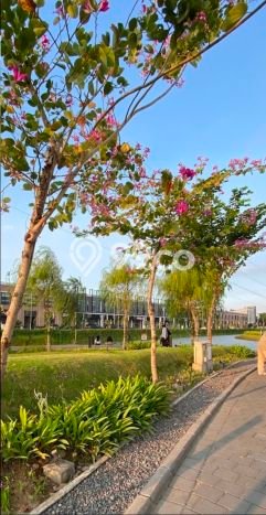 Untuk Dijual Apartemen di Wiyung, Surabaya 1 KT, 1 KM Strategis Untuk Dijual Apartemen di Wiyung, Surabaya 1 KT, 1 KM Strategis