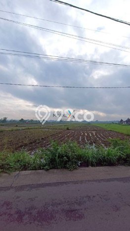 Kavling Tanah di Kedungkandang Dijual Luas 2269m2 Legalitas SHM Kavling Tanah di Kedungkandang Dijual Luas 2269m2 Legalitas SHM