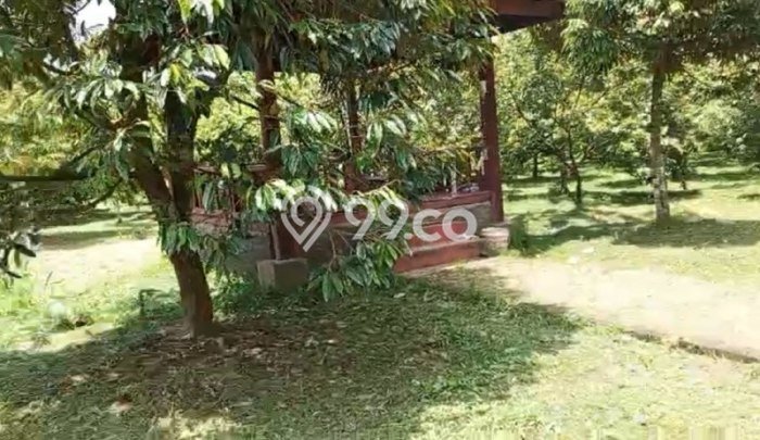 Tanah Kosong Dijual di Malang dengan Area 4000m2 Tanah Kosong Dijual di Malang dengan Area 4000m2