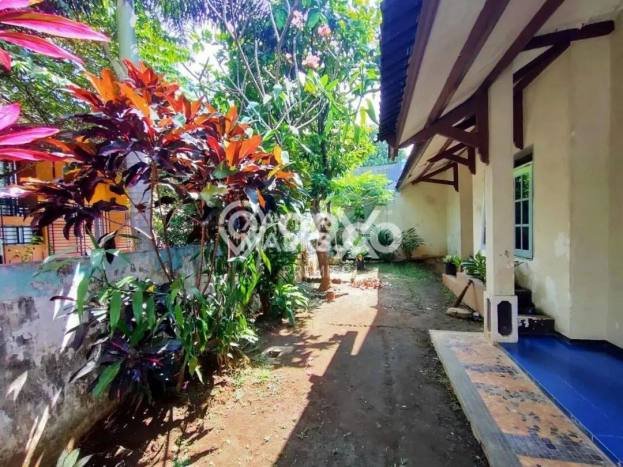 Dijual Rumah Eksklusif 3 KT di Dieng, Malang Dijual Rumah Eksklusif 3 KT di Dieng, Malang